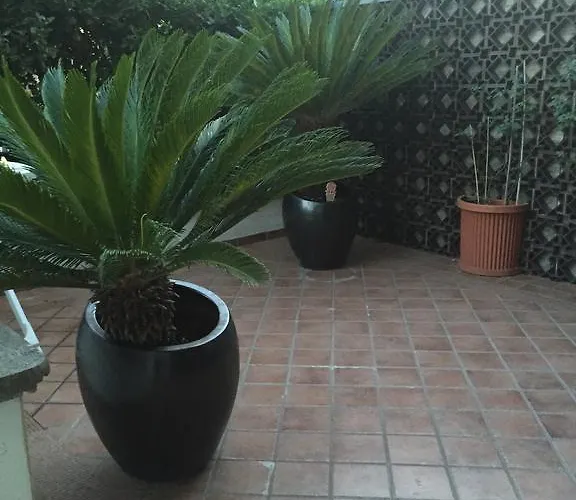 Acomodação com café da manhã  La Maison Blanche